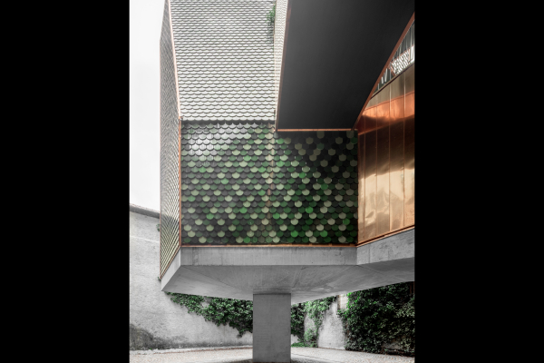 13 bergmeisterwolf Adler 2 IMG 8860 GW_1