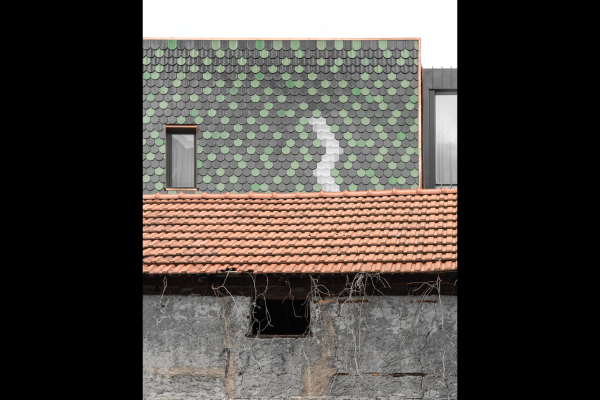 16 bergmeisterwolf Adler 2 IMG 9200 GW