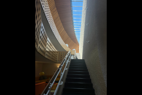 IMG 7107